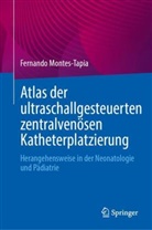 Fernando Montes-Tapia - Atlas der ultraschallgesteuerten zentralven&ouml;sen Katheterplatzierung