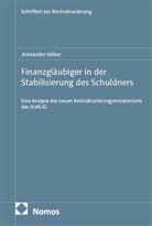 Alexander V&ouml;lker - Finanzgl&auml;ubiger in der Stabilisierung des Schuldners