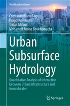 Mohamed Amine Boukhemacha, Dragos Gaitanaru, Tr Ghibus, Traian Ghibus, Constantin Radu Gogu - Urban Subsurface Hydrology