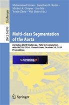 Michol A Cooper et al, Michol A. Cooper, Muhammad Imran, Jonathan R. Krebs, Jun Ma, Jonathan R Krebs... - Multi-class Segmentation of the Aorta