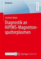 Caroline Adam - Diagnostik an HiPIMS-Magnetron- sputterplasmen