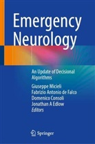 Fabrizio Antonio de Falco, Domenico Consoli, Domenico Consoli et al, Fabrizio Antonio de Falco, Jonathan A Edlow, Giuseppe Micieli - Emergency Neurology
