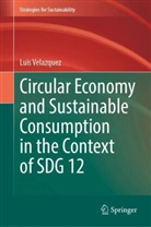Luis Velazquez - Circular Economy and Sustainable Consumption in the Context of SDG 12