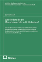 Dennis Traudt - Wie f&ouml;rdert die EU Menschenrechte in Drittstaaten?