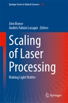 J&ouml;rn Bonse, Fabi&aacute;n Lasagni, Andr&eacute;s Fabi&aacute;n Lasagni - Scaling of Laser Processing, m. 3 Buch