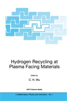 H Wu, C H Wu, C. H. Wu, C.H. Wu - Hydrogen Recycling at Plasma Facing Materials