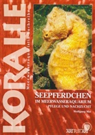 Wolfgang Mai - Seepferdchen im Meerwasseraquarium