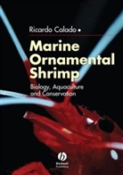 R Calado, Ricardo Calado, Calado Ricardo - Marine Ornamental Shrimp