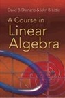 David B Damiano, David B Little Damiano, David B. Damiano, David B. Little Damiano, David B./ Little Damiano, John B Little... - A Course in Linear Algebra