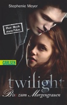 Stephenie Meyer - Twilight, Bis(s) zum Morgengrauen, Das Buch zum Film