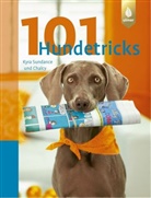 Chalcy Sundance, Kyra Sundance, Kyra Sundance und Chalcy, Nick Saglimbeni - 101 Hundetricks
