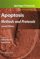 Erhard, P Erhard, P. Erhard, Peter Erhardt, Toth, Toth... - Apoptosis