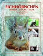 Kaus, Sonja Kaus, Rothenhebe, Bettin Rothenheber, Bettina Rothenheber - Eichh&ouml;rnchen