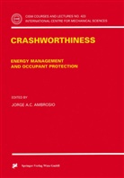 Jorge A C Ambrosio, Jorge A. C. Ambrosio, Jorge A.C. Ambrosio, Jorge A. C. Ambr&oacute;sio - Crashworthiness
