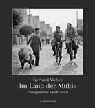 Gerhard Weber, Mathias Bertram - Im Land der Mulde