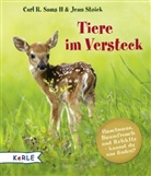 Carl R. Sams, Jean Stoick - Tiere im Versteck