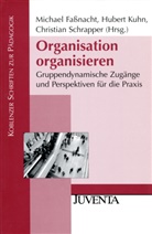 Fassnacht, Michael Fassnacht, Hubert Kuhn, Hubert R. Kuhn, Huber R Kuhn, Schrapper... - Organisation organisieren
