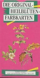 Ingrid Kraaz von Rohr, Ingrid S. Kraaz-von Rohr, Wulfing von Rohr - Heilbl&uuml;ten Farbkarten