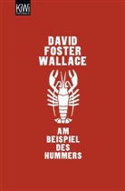David Foster Wallace, David Foster Wallace, Marcus Ingendaay - Am Beispiel des Hummers
