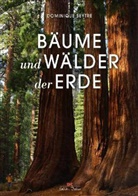 Dominique Seytre - B&auml;ume und W&auml;lder der Erde