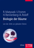 J&ouml;r Fromm, J&ouml;rg Fromm, J&ouml;rg (Prof.&nbsp;Dr Fromm, Raine Matyssek, Rainer Matyssek, Rainer (Prof. Dr. Matyssek... - Biologie der B&auml;ume
