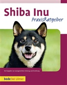 Andrew Deprisco, Andrew de Prisco, Andrew de Prisco [bede] - Praxisratgeber Shiba Inu