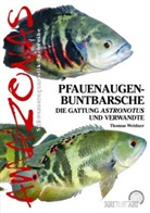 Thomas Weidner - Pfauenaugen-Buntbarsche