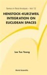 Lee Tuo Yeong, Tuo Yeong Lee, Lee Tuo Yeong - Henstock-kurzweil Integration On Euclidean Spaces