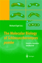 R. Egel, Richar Egel, Richard Egel - The Molecular Biology of Schizosaccharomyces pombe