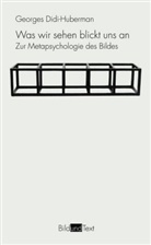 Georges Didi-Huberman, Markus Sedlaczek - Was wir sehen blickt uns an