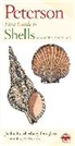 Jackie Leatherbury Douglass, Jackie Leatherbury/ Douglass Douglass, John Douglass, Roger Tory Peterson, Jackie Leatherbury Douglass, John Douglass - Peterson First Guide to Shells of North America