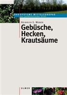 Heinrich E Weber, Heinrich E. Weber - Geb&uuml;sche, Hecken, Krauts&auml;ume