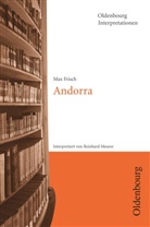 Max Frisch, Reinhard Meurer, Reinhar Meurer, Reinhard Meurer - Oldenbourg Interpretationen