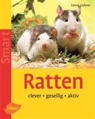 Georg Ga&szlig;ner, Regina Kuhn - Ratten