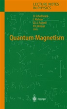 Raymond F. Bishop, Damian J. Farnell, Damian J. J. Farnell, Damian J.J. Farnell, Damian J J Farnell et al, Johanne Richter... - Quantum Magnetism
