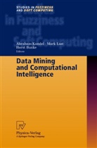 Horst Bunke, A. Kandel, Abraham Kandel, M. Last, Mar Last, Mark Last - Data Mining and Computational Intelligence