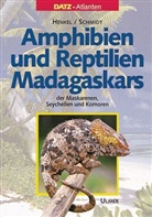 Friedrich Wilhel Henkel, Friedrich Wilhelm Henkel, Kn, Kn&ouml;thi, Michael Kn&ouml;thing, Klaus Liebel... - Amphibien und Reptilien Madagaskars, der Maskarenen, Seychellen und Komoren