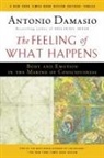 Damasio Antonio Damasio, Antonio Damasio, Antonio R. Damasio - Feeling of What Happens