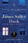 Philip Gourevitch, James Salter - Dusk and Other Stories