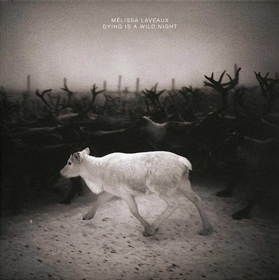 Melissa Laveaux - Dying Is A Wild Night