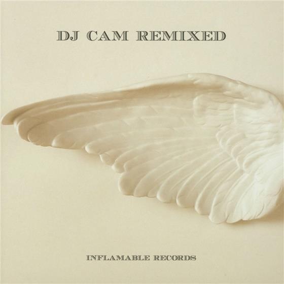 DJ Cam - Seven - Remixed