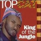 Top Cat - King Of The Jungle