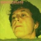Robert Pollard - From A Compound Eye LP