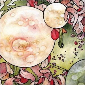 Torche - In Return 12" Maxi + CD