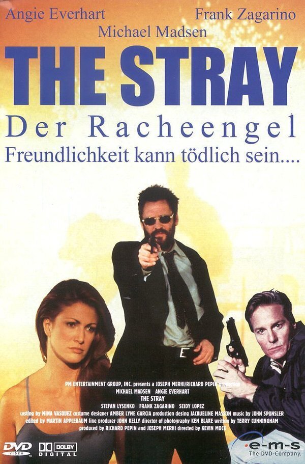 The stray - Der Racheengel