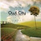 Owl City - All Things Bright & Beautiful LP