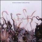 Stephin Merritt - Obscurities LP