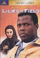 Lilies of the field (1963) n/b