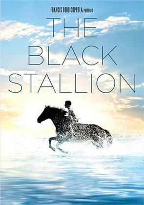 Black Stallion - Black Stallion / (Rpkg) (1979)
