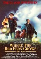 Where the red fern grows 2